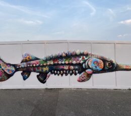 Mural of colourful fish