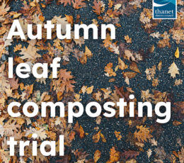 Autumn leaf composting trial in white text on photograph of leaves on the ground. Thanet District Council logo top right hand corner.