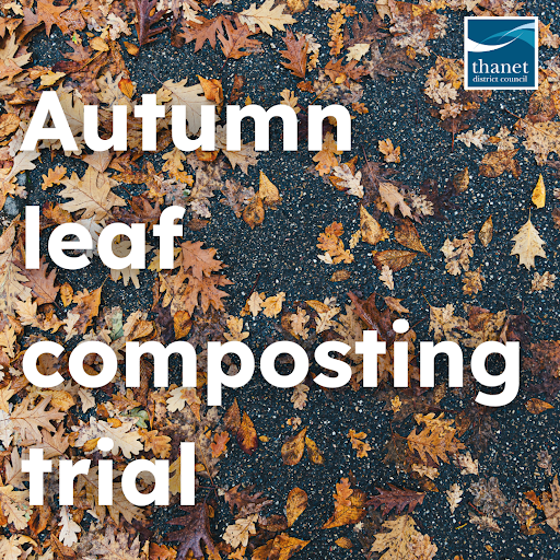 Autumn leaf composting trial in white text on photograph of leaves on the ground. Thanet District Council logo top right hand corner.